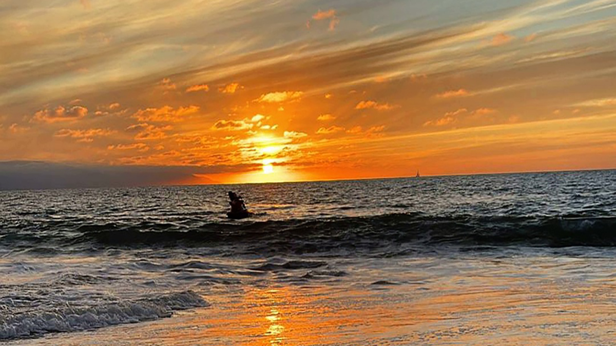 Municipios en Jalisco prohíben nadar en el mar tras ataque de tiburón