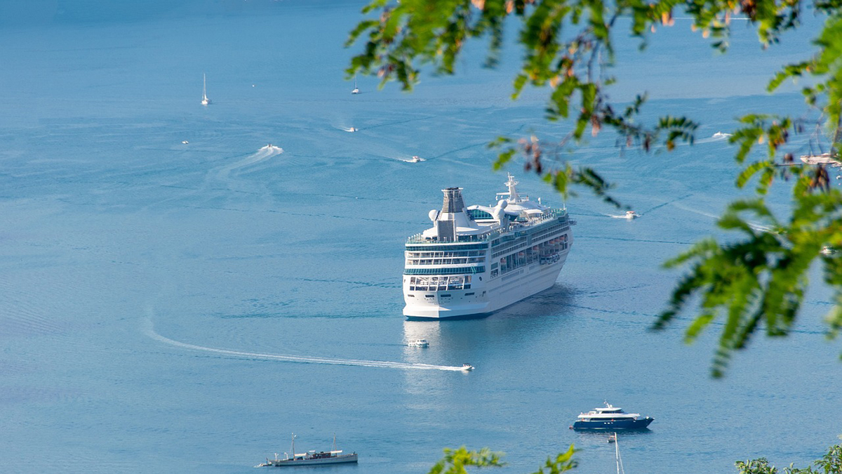 Recibe Puerto Vallarta más de 543 mil cruceristas en 2023