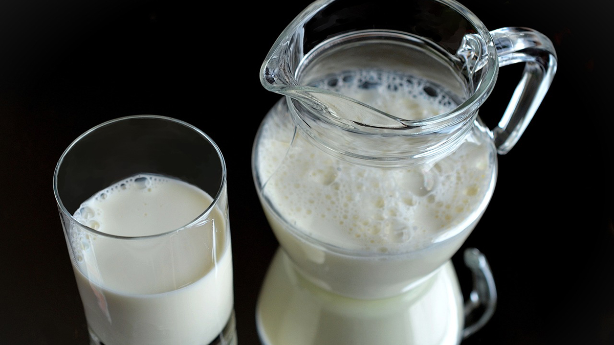 Importar leche en polvo causa pérdidas a productores de Jalisco